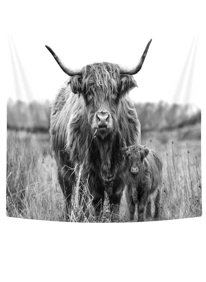 Bzhilja Highland Cow Tapestry, Funny Western Animal Grey Bull Wall Art Decor Tapestries, Country Farmhouse Farm Tapestry Wall Hanging for for Bedroom Living Room Dorm, 60X40 in - Image 4